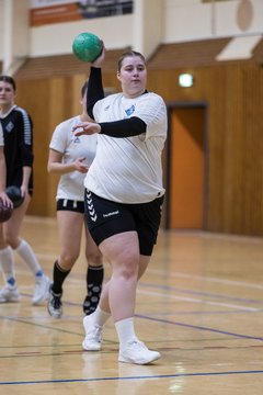 Bild 111 - F TSV Ellerau - HSG Tills Loewen 08 : Ergebnis: 16:18